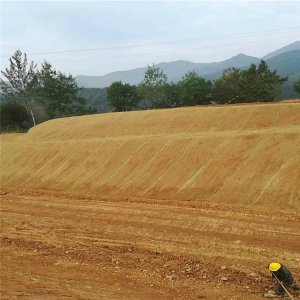 眾匯抗沖刷植生毯 荒山固土綠化與工地施工的創新材料選擇